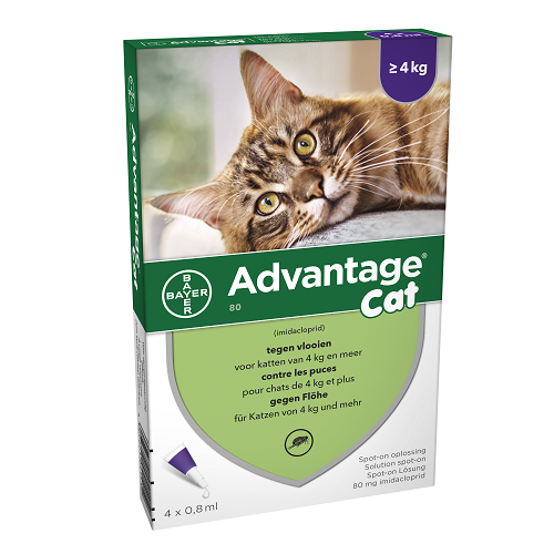 Advantage Kat 80 Spot-On Anti-Vlooien >4kg 4x0,8ml