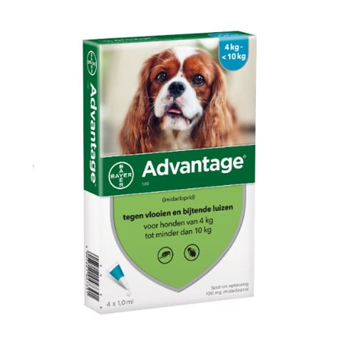Advantage Hond 100 Spot-On Anti-Vlooien 4-10kg 4x1,0ml