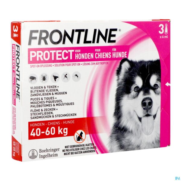 Frontline Protect - Anti-Vlooien/ Teken Spot-On Oplossing Voor Honden - 40-60kg - 3 Pipetten