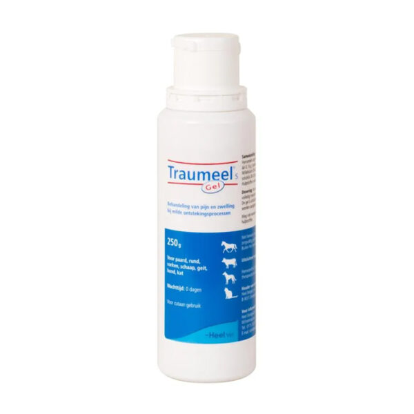 Heel Vet Traumeel S Gel  250g